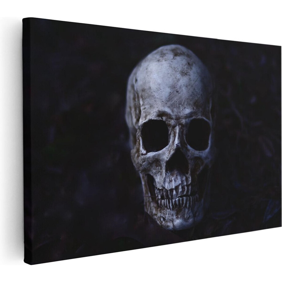 Artaza Canvas Schilderij Schedel - Doodshoofd - 60x40 - Foto Op Canvas - Canvas Print afbeelding 1