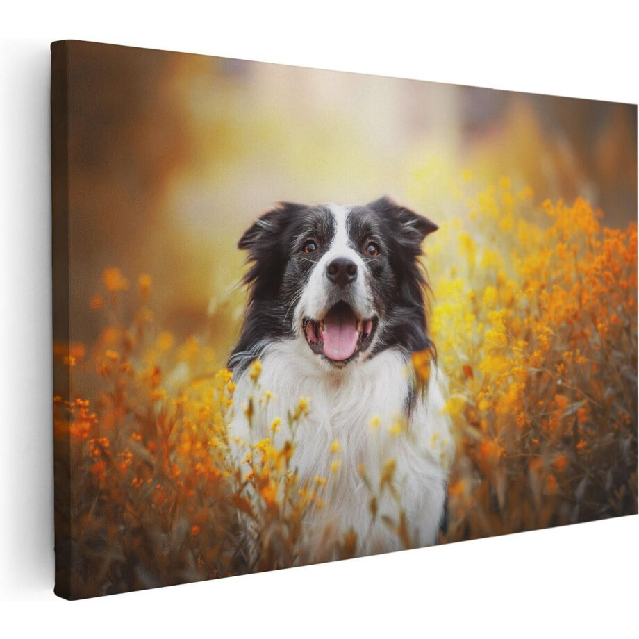 Artaza Canvas Schilderij Blije Hond Tussen De Bloemen - 60x40 - Foto Op Canvas - Canvas Print Artaza Canvas Schilderij Blije Hond Tussen De Bloemen - 60x40 - Foto Op Canvas - Canvas Print afbeelding 1