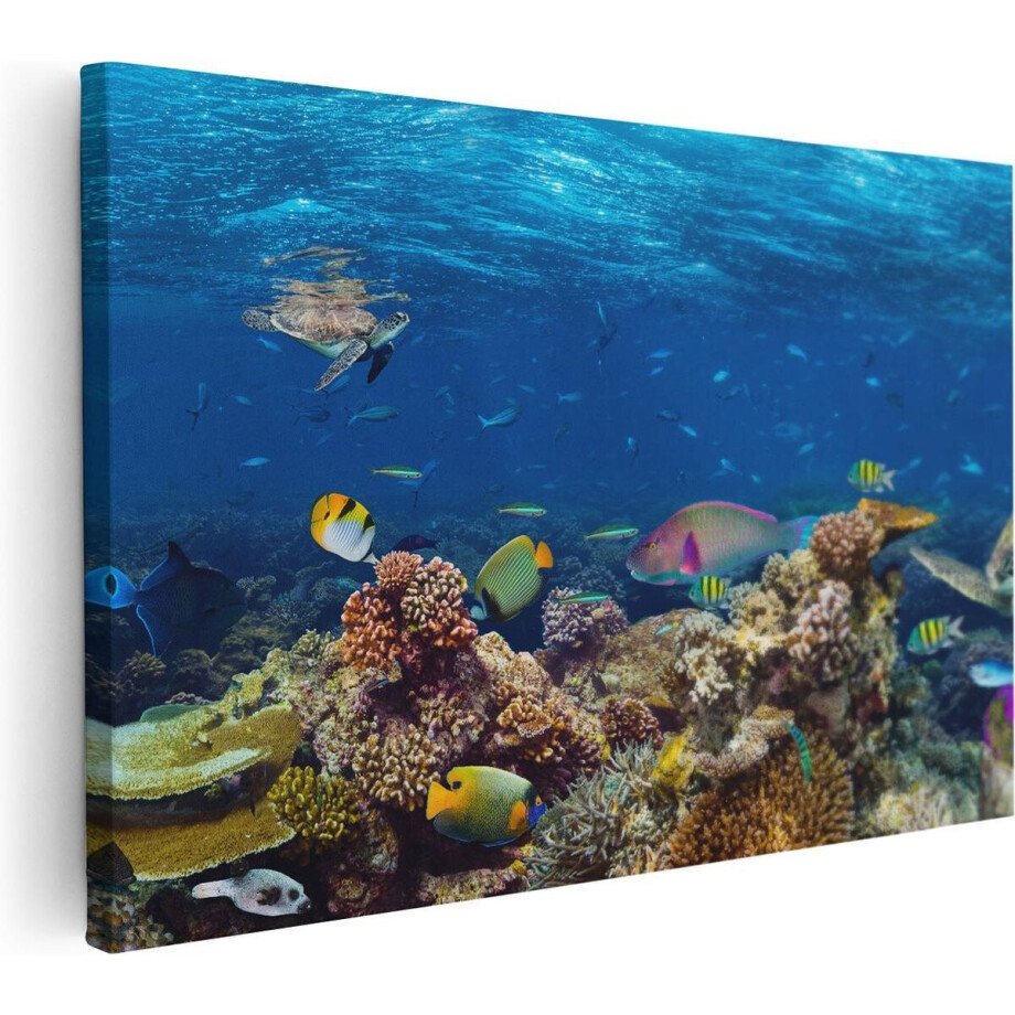 Artaza Canvas Schilderij Vissen met Koraalrif in de Oceaan - 30x20 - Klein - Foto Op Canvas - Canvas Print Artaza Canvas Schilderij Vissen met Koraalrif in de Oceaan - 30x20 - Klein - Foto Op Canvas - Canvas Print afbeelding 1