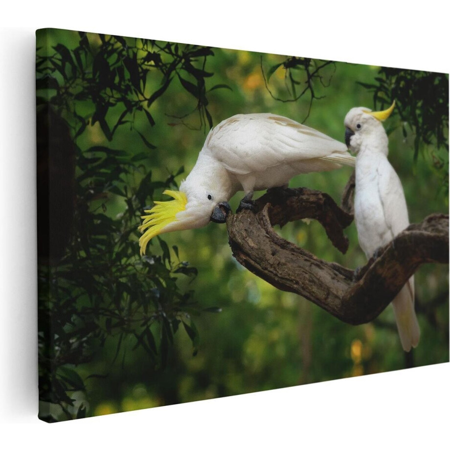 Artaza Canvas Schilderij Kaketoes - 60x40 cm - Wanddecoratie Vogels - Muurdecoratie Dieren - Schilderijen Op Canvas afbeelding 1