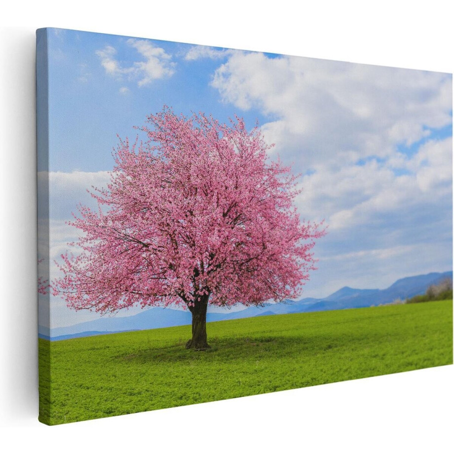 Artaza Canvas Schilderij Kersenbloesem - 30x20 cm - Klein - Wanddecoratie Bos - Muurdecoratie Landschap - Kamer Accessoires Natuur afbeelding 1