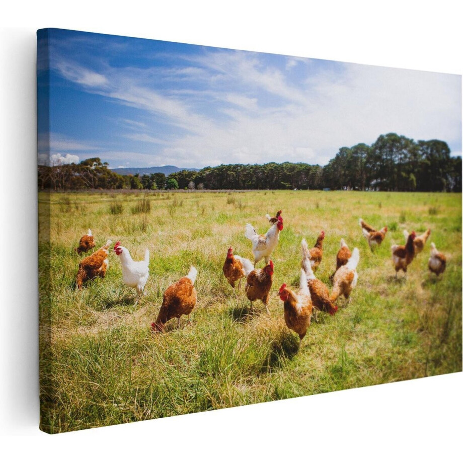 Artaza Canvas Schilderij Kippen - 60x40 cm - Wanddecoratie Dieren - Muurdecoratie Boerderij - Schilderijen Natuur afbeelding 1