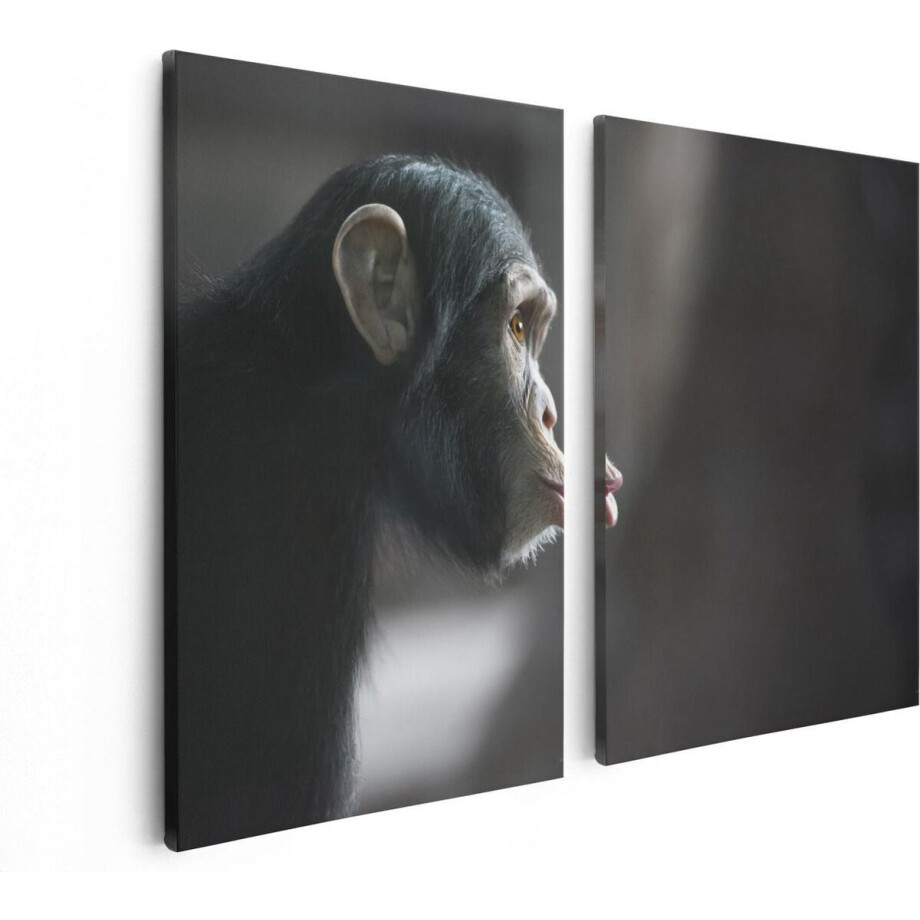 Artaza Canvas Schilderij Tweeluik Verbaasde Aap Vanaf De Zijkant - 80x60 - Foto Op Canvas - Canvas Print Artaza Canvas Schilderij Tweeluik Verbaasde Aap Vanaf De Zijkant - 80x60 - Foto Op Canvas - Canvas Print afbeelding 1