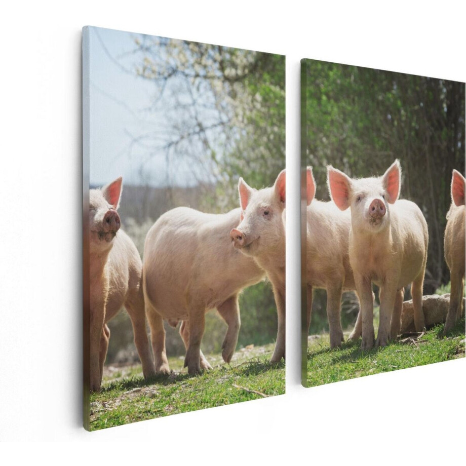 Artaza Canvas Schilderij Tweeluik Groep Jonge Varkens - 80x60 - Foto Op Canvas - Canvas Print afbeelding 1