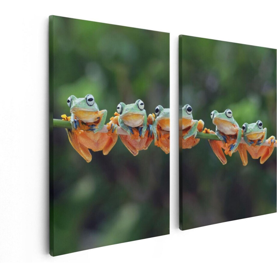 Artaza Canvas Schilderij Tweeluik Groep Kikkers op een Tak - 80x60 - Foto Op Canvas - Canvas Print afbeelding 1