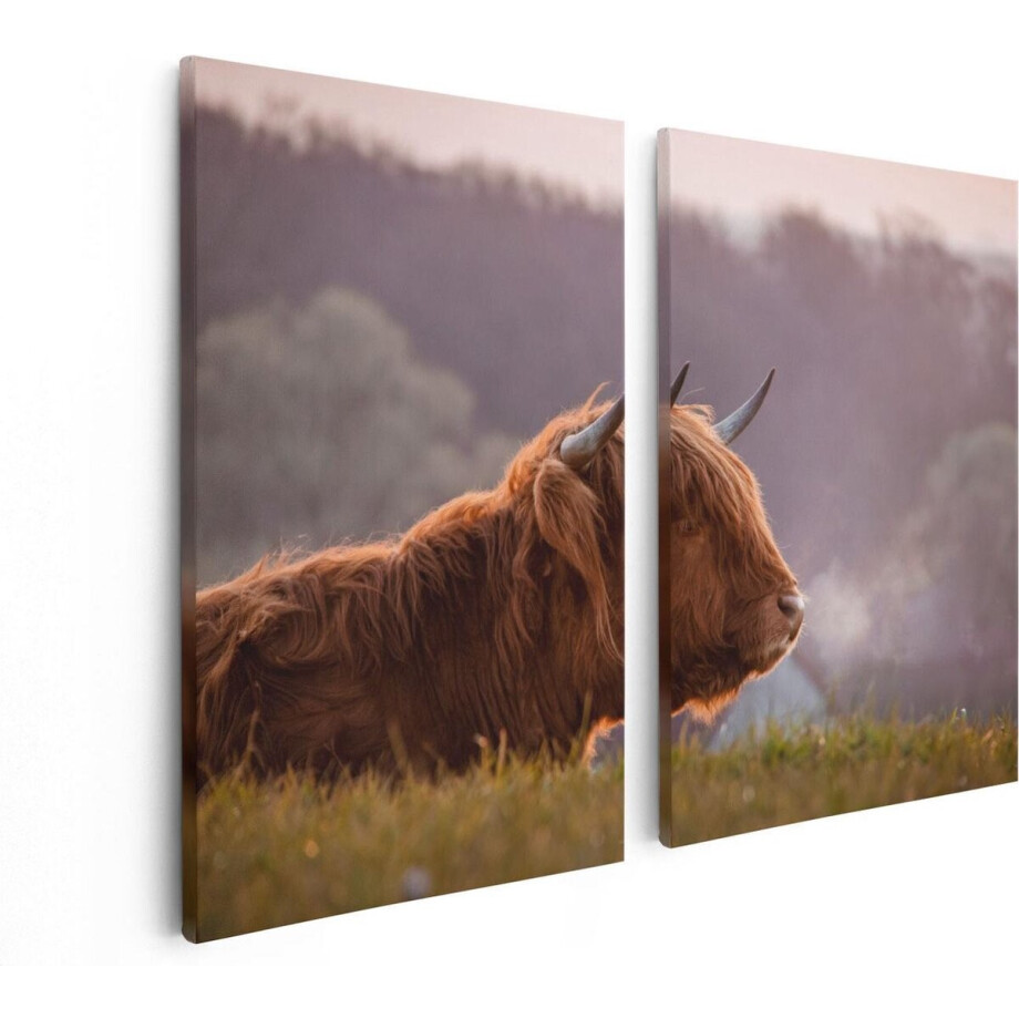 Artaza Canvas Schilderij Tweeluik Schotse Hooglander Koe Ligt In Het Gras - 80x60 - Foto Op Canvas - Canvas Print afbeelding 1