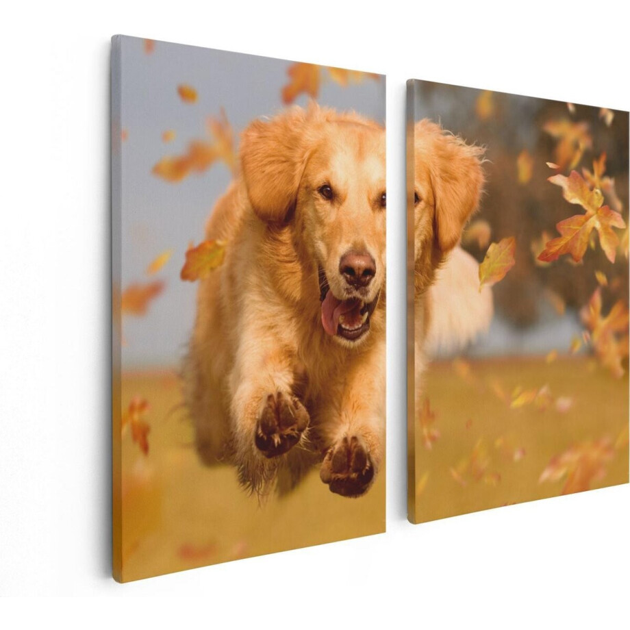 Artaza Canvas Schilderij Tweeluik Golden Retriever Hond In De Herfst Bladeren - 80x60 - Foto Op Canvas - Canvas Print Artaza Canvas Schilderij Tweeluik Golden Retriever Hond In De Herfst Bladeren - 80x60 - Foto Op Canvas - Canvas Print afbeelding 1