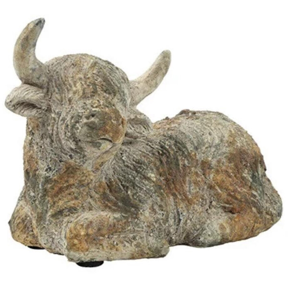 Landelijke Schotse hooglander Fargo L grijs- Countryfield- stoer sober- woondecoratie- sfeervol afbeelding 1