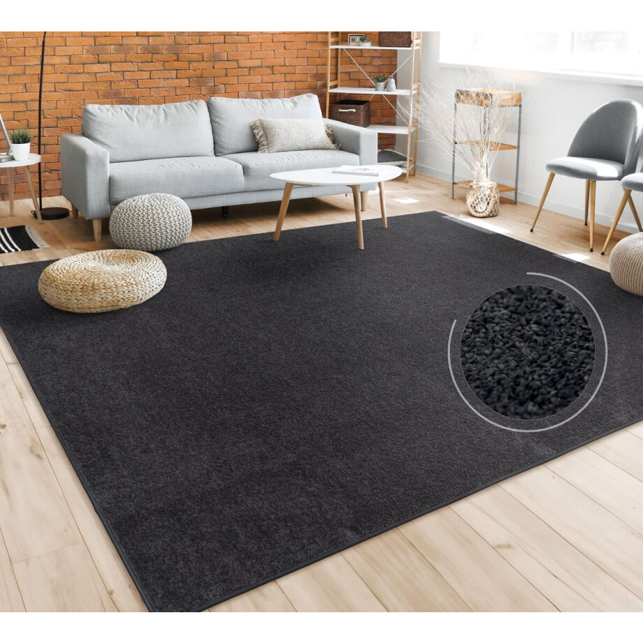 Paco Home Vloerkleed Woonkamer Effen Eenvoudig En Modern Laagpolig, Versch. Afmetingen Kleuren 80x250 cm afbeelding 1