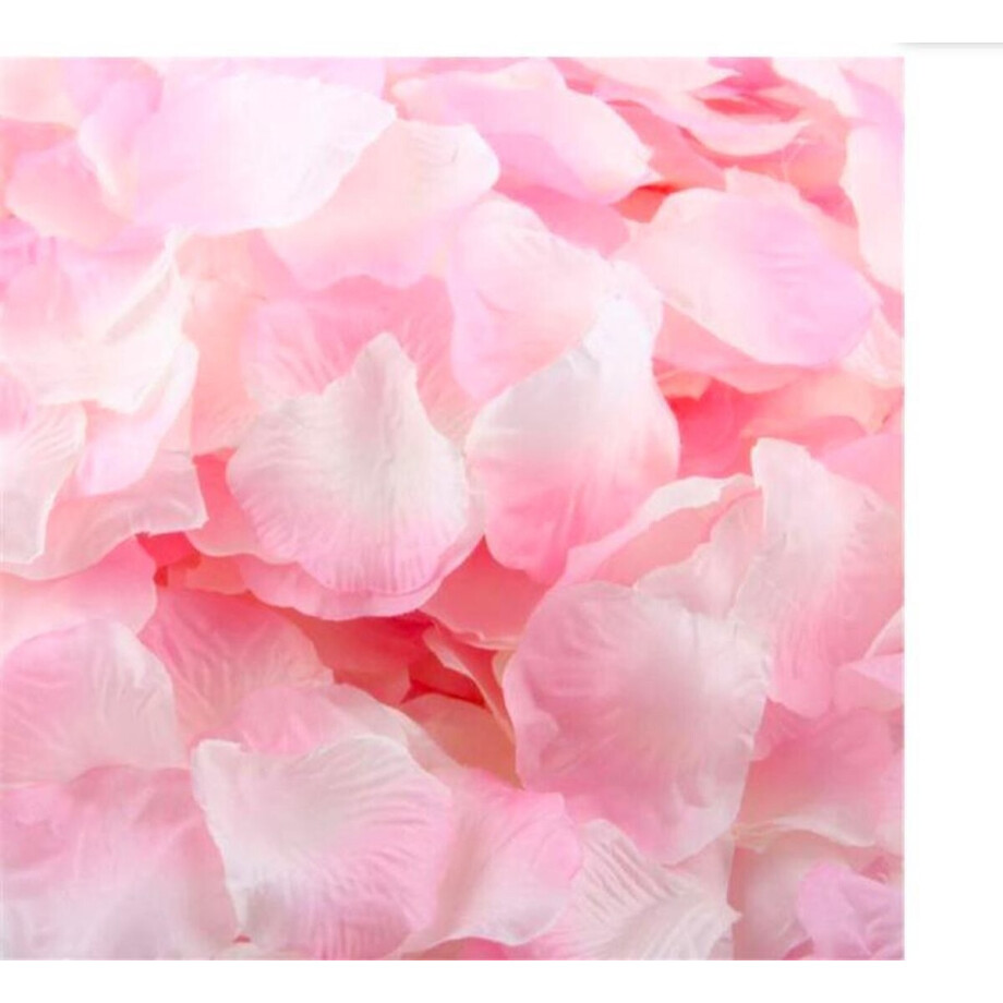 ProductGoods - 1000 Rozenblaadjes Decoratie Roze / Wit / Romantisch afbeelding 1