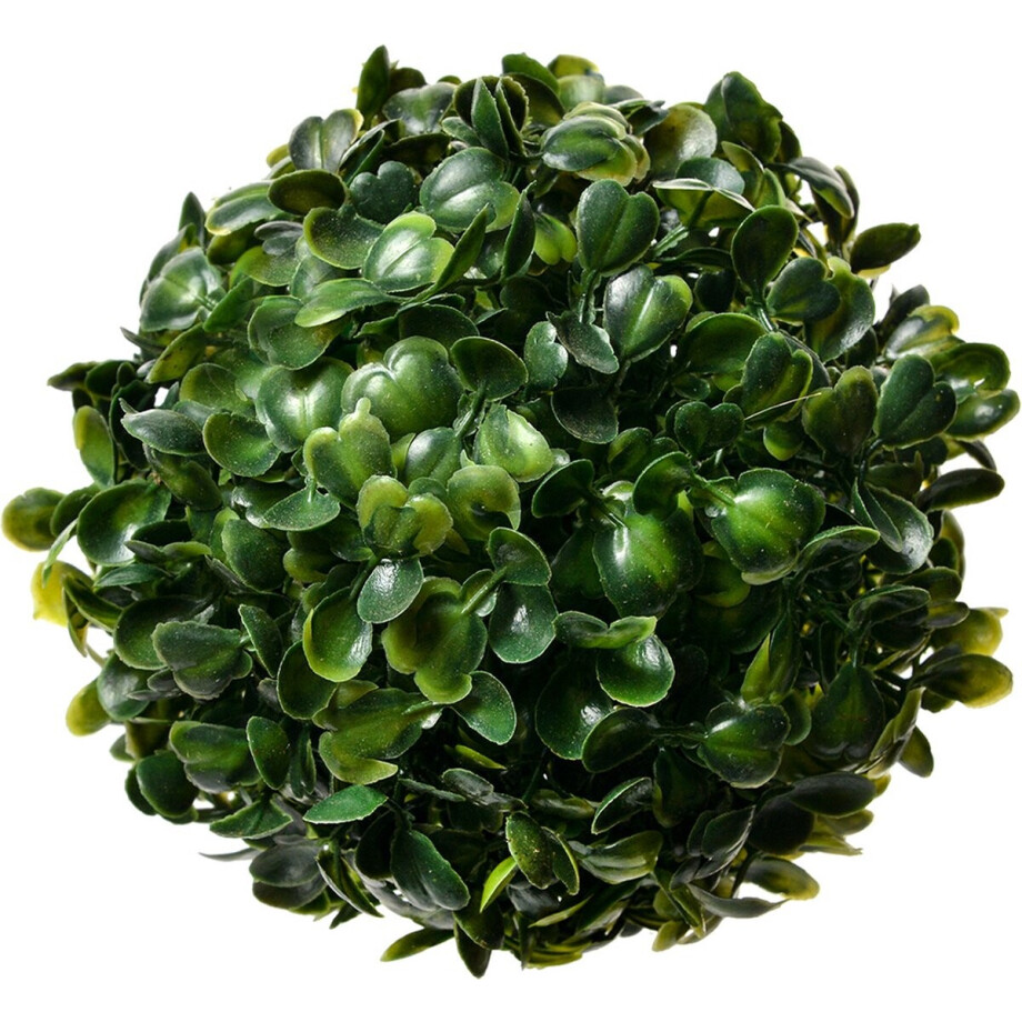 Clayre & Eef Buxus bol Ø 12 cm Groen Kunststof afbeelding 1