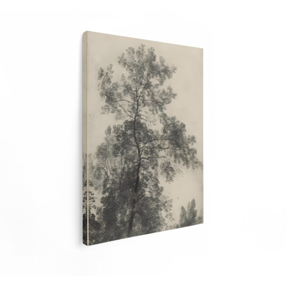 Artaza Canvas Schilderij Gedetailleerde Schets van een Boom met Wapperende Takken en Bladeren in de Wind - 60x80 cm - Wanddecoratie Woonkamer - Schilderijen - Muurdecoratie afbeelding 1