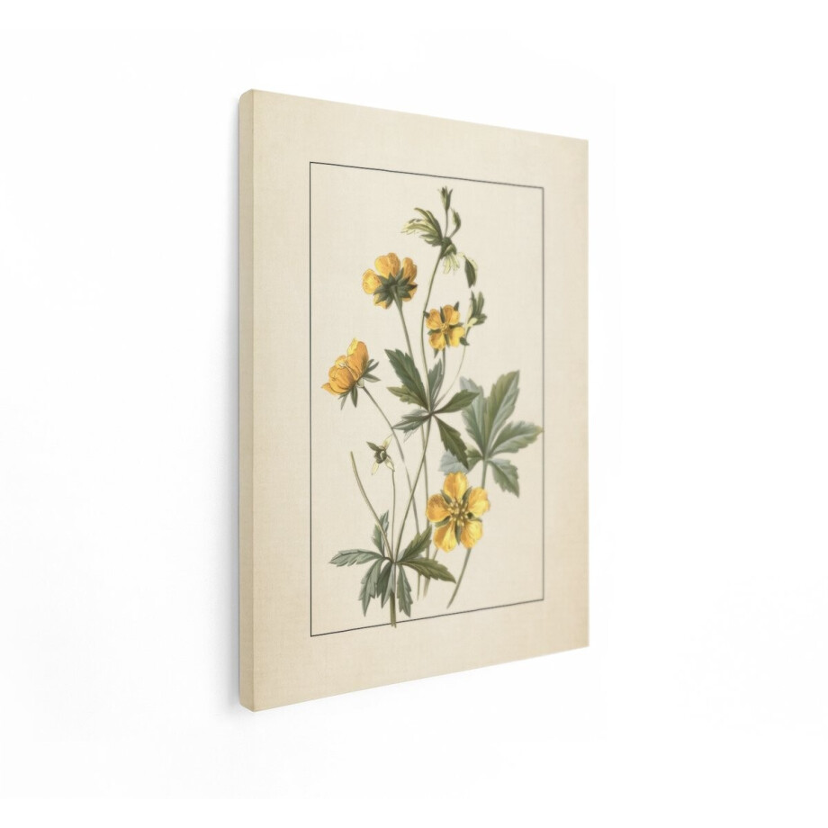 Artaza Canvas Schilderij Gele Bloemen met Groene Bladeren in Botanische Illustratiestijl - 30x40 cm - Klein - Wanddecoratie Woonkamer - Schilderijen - Muurdecoratie afbeelding 1
