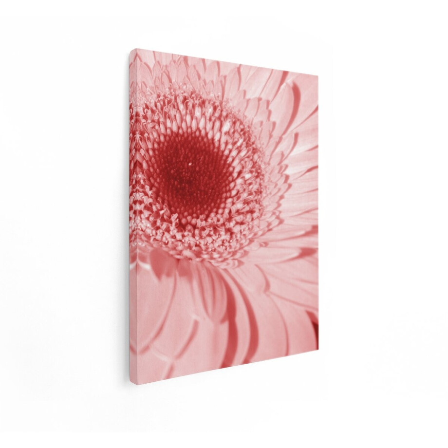 Artaza Canvas Schilderij Close-Up van een Rode Gerbera Bloem met Gedetailleerd Centrum en Zachte Bloemblaadjes - 90x120 cm - Groot - Wanddecoratie Woonkamer - Schilderijen - Muurdecoratie afbeelding 1