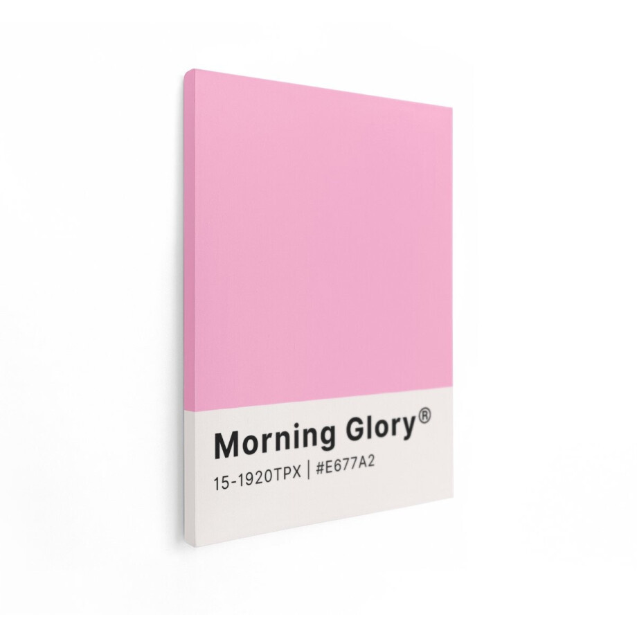 Artaza Canvas Schilderij Lichtroze "Morning Glory" Kleurstaal met Code en Nummer - 60x80 cm - Wanddecoratie Woonkamer - Schilderijen - Muurdecoratie afbeelding 1