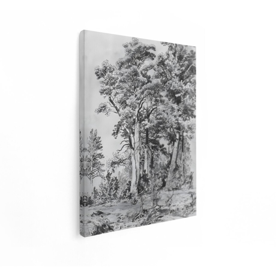 Artaza Canvas Schilderij Gedetailleerde Tekening van een Bos met Hoge Dennenbomen en Struiken - 60x80 cm - Wanddecoratie Woonkamer - Schilderijen - Muurdecoratie afbeelding 1