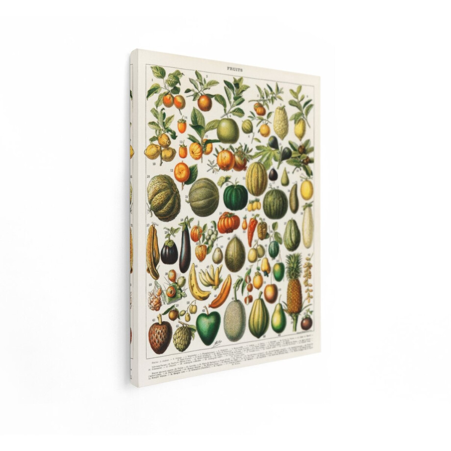 Artaza Canvas Schilderij Vintage Fruit Illustratie - 30x40 cm - Wanddecoratie Keuken - Muurdecoratie Botanisch - Schilderijen Op Canvas Artaza Canvas Schilderij Vintage Fruit Illustratie - 30x40 cm - Wanddecoratie Keuken - Muurdecoratie Botanisch - Schilderijen Op Canvas afbeelding 1