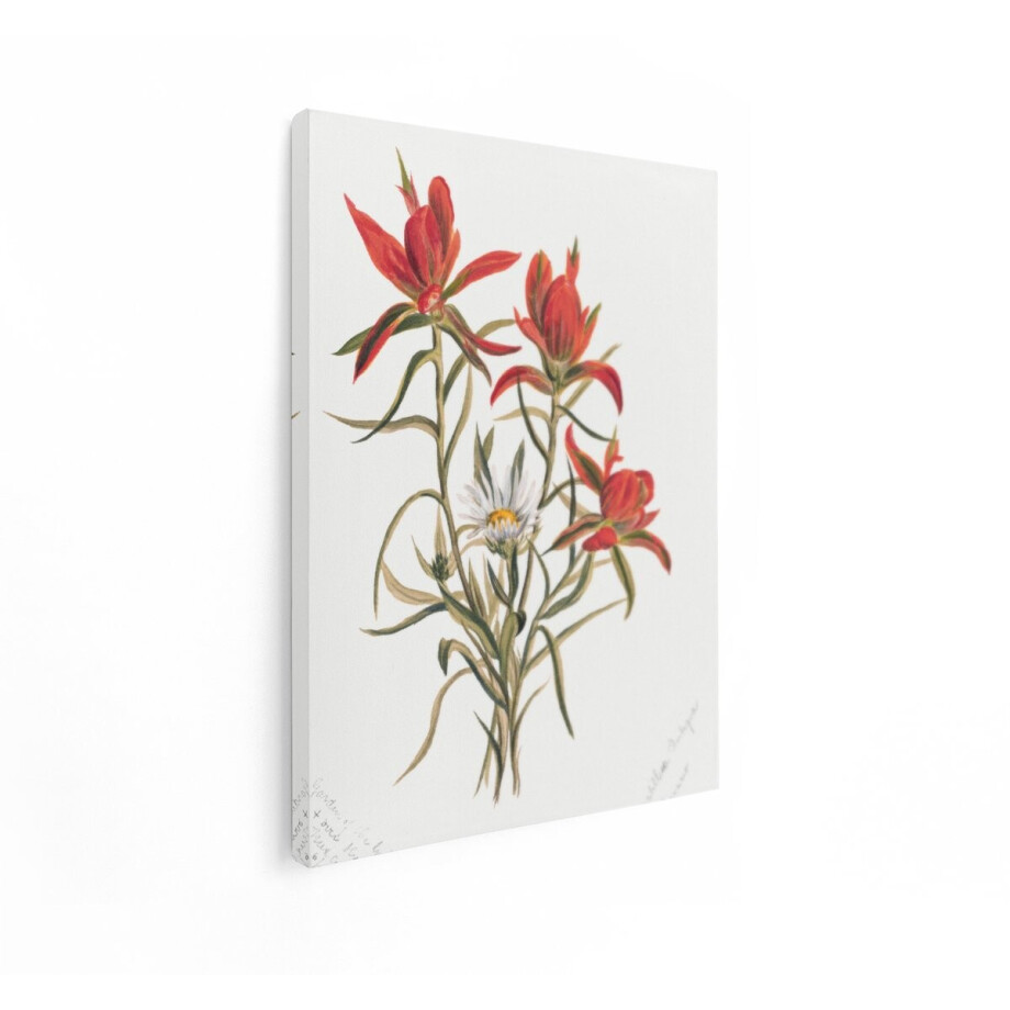 Artaza Canvas Schilderij Bloemen Schilderij - 30x40 cm - Wanddecoratie Vintage Aquarel - Muurdecoratie Wilde Bloemen - Schilderijen Op Canvas - Rood Artaza Canvas Schilderij Bloemen Schilderij - 30x40 cm - Wanddecoratie Vintage Aquarel - Muurdecoratie Wilde Bloemen - Schilderijen Op Canvas - Rood afbeelding 1