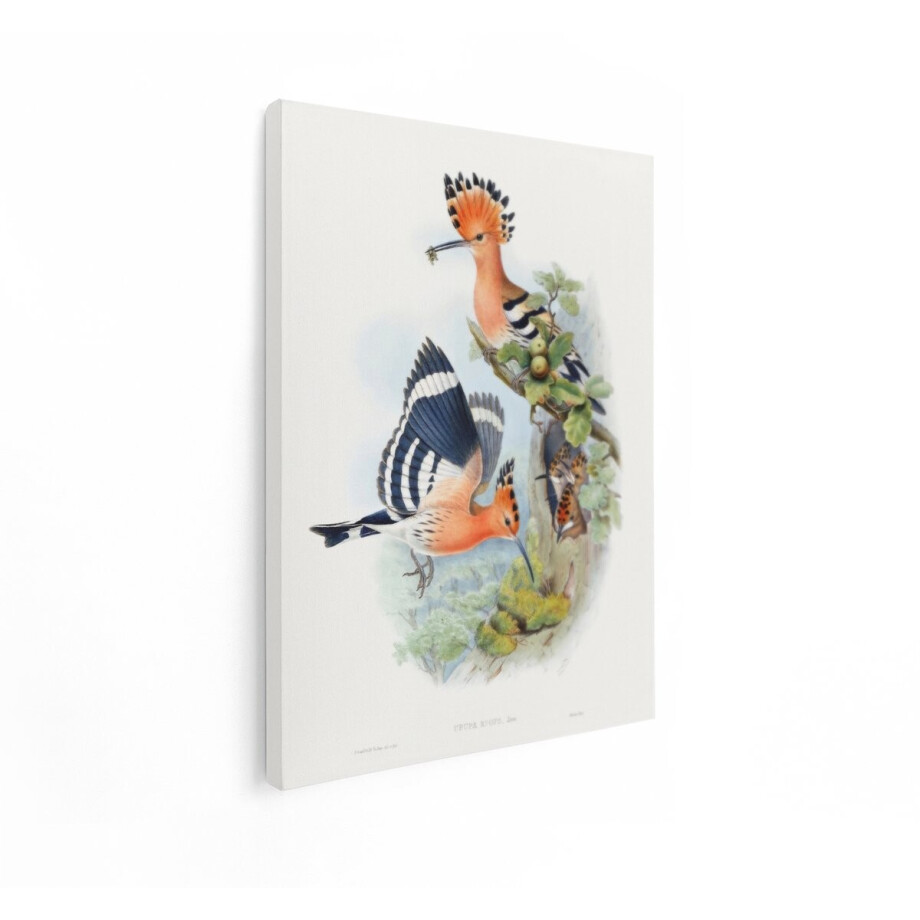 Artaza Canvas Schilderij Hop Vogels - 90x120 cm - Wanddecoratie Vogels - Muurdecoratie Natuur - Vintage Schilderijen Op Canvas afbeelding 1