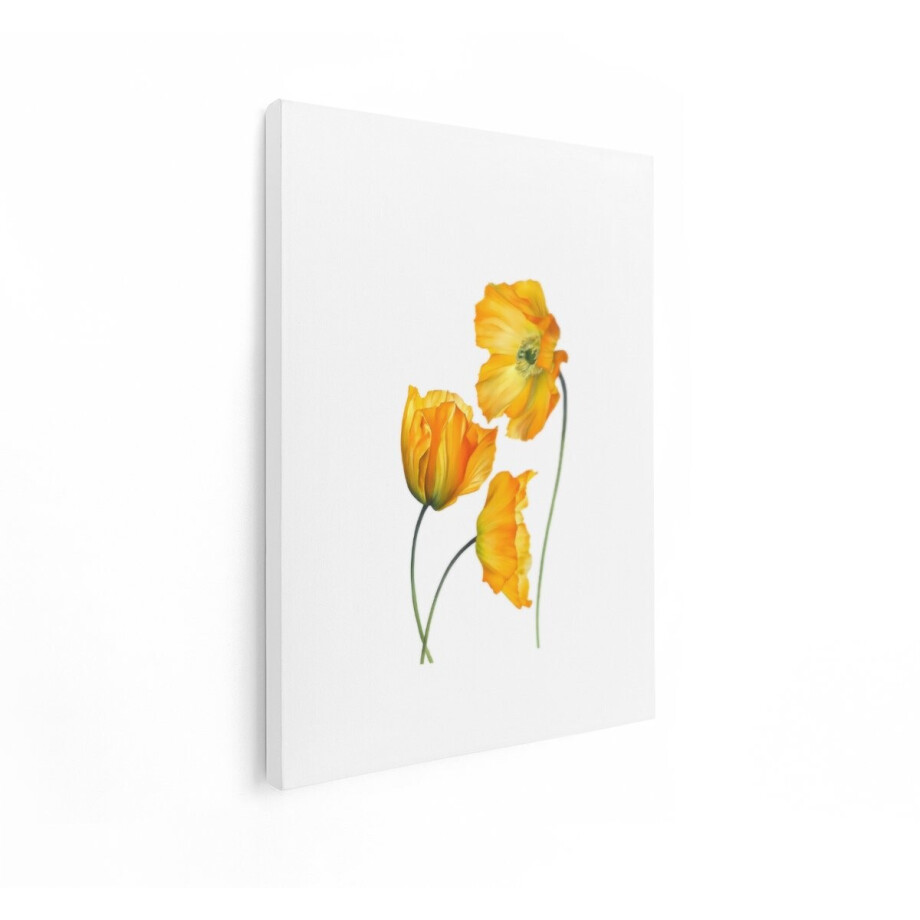 Artaza Canvas Schilderij Gele Bloemen - 30x40 cm - Wanddecoratie Klaprozen - Muurdecoratie Botanisch - Decoratie Slaapkamer - Kamer Accessoires Artaza Canvas Schilderij Gele Bloemen - 30x40 cm - Wanddecoratie Klaprozen - Muurdecoratie Botanisch - Decoratie Slaapkamer - Kamer Accessoires afbeelding 1