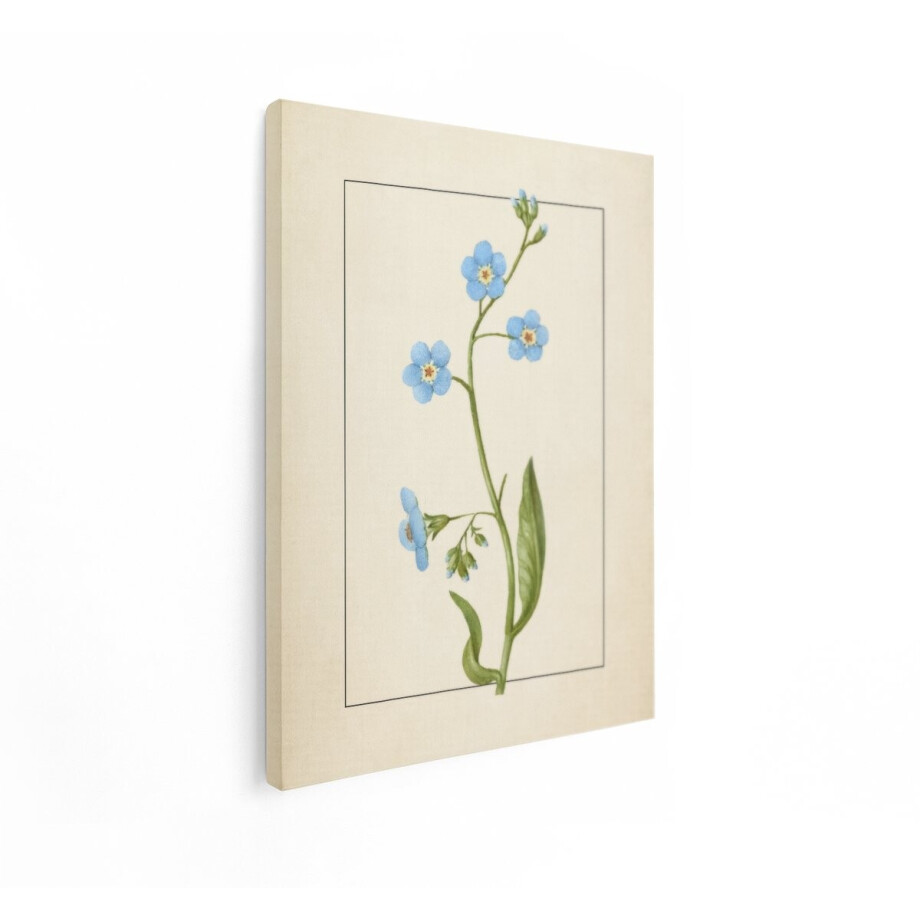 Artaza Canvas Schilderij Vergeet-Mij-Nietjes - 90x120 cm - Wanddecoratie Bloemen - Muurdecoratie Vintage - Schilderijen Op Canvas - Blauw afbeelding 1