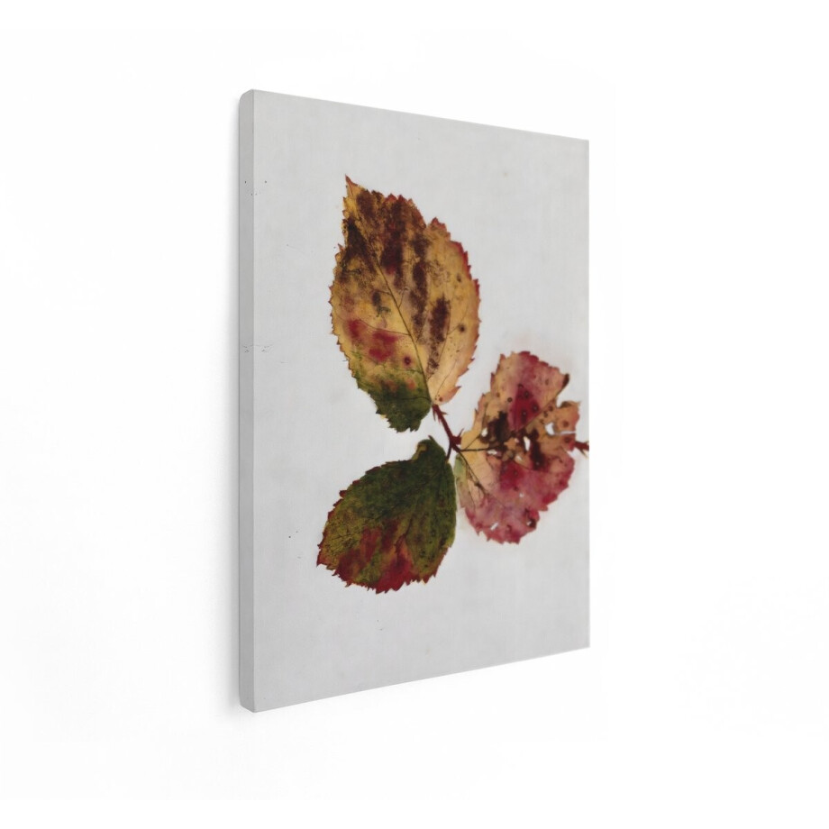 Artaza Canvas Schilderij Herfst - 30x40 cm - Wanddecoratie Botanisch Blad - Muurdecoratie Natuur - Vintage Schilderijen Op Canvas afbeelding 1