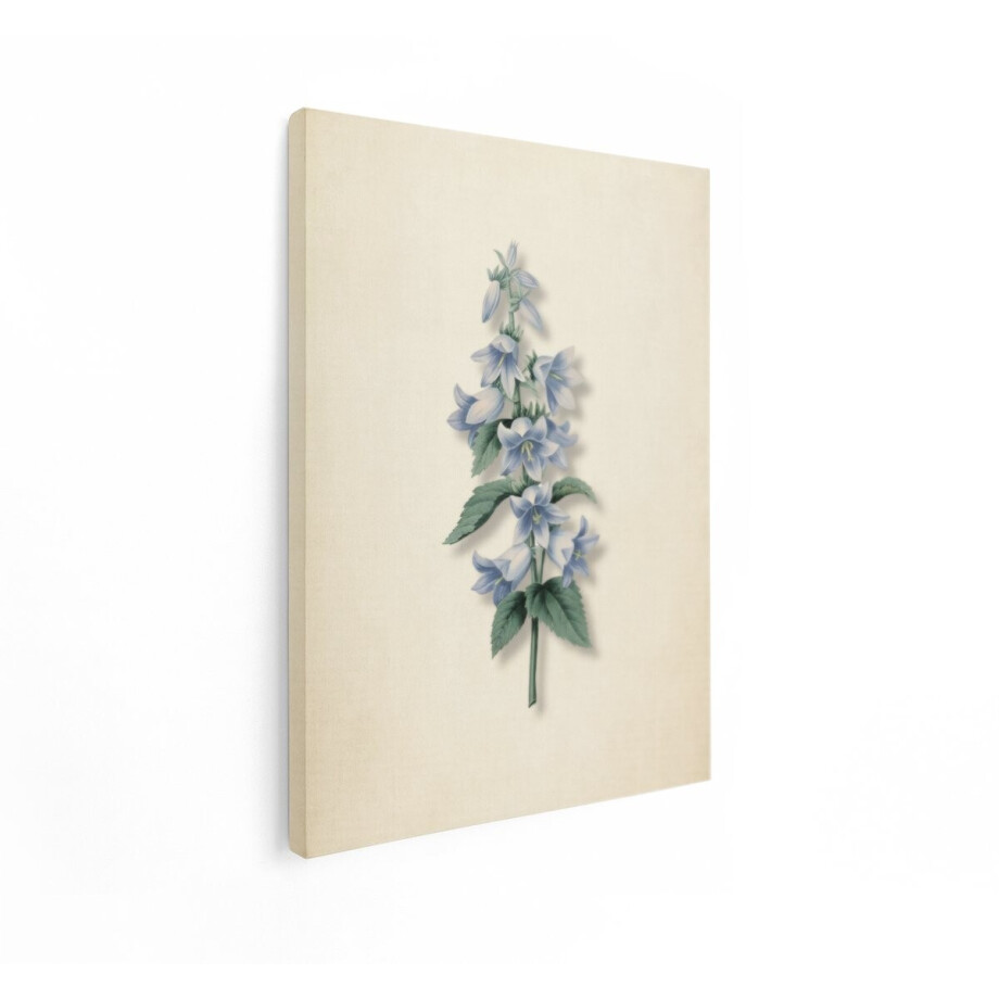 Artaza Canvas Schilderij Klokjesbloem - 90x120 cm - Wanddecoratie Bloemen - Muurdecoratie Vintage - Schilderijen Op Canvas - Blauw afbeelding 1