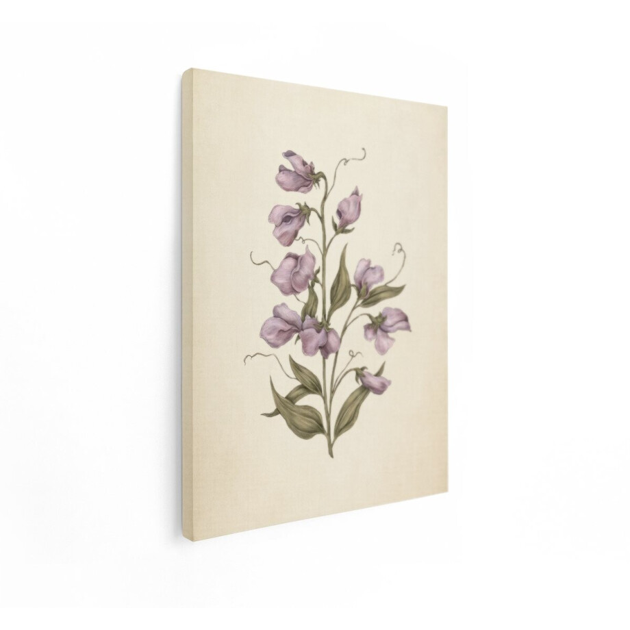 Artaza Canvas Schilderij Gedetailleerde Illustratie van Paarse Lathyrusbloemen met Bladeren op een Crèmekleurige Achtergrond - 30x40 cm - Klein - Wanddecoratie Woonkamer - Schilderijen - Muurdecoratie afbeelding 1