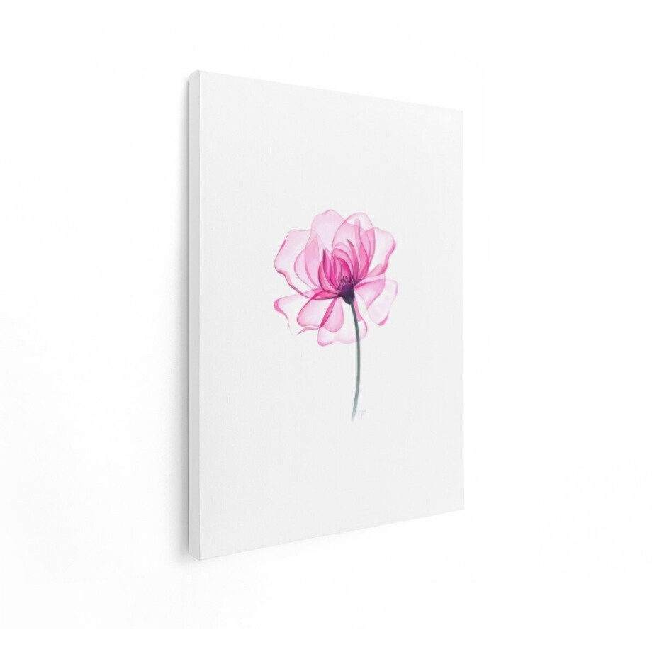 Artaza Canvas Schilderij Roze Bloem - 60x80 cm - Wanddecoratie Bloemen - Muurdecoratie Natuur - Schilderijen Op Canvas - Roze afbeelding 1