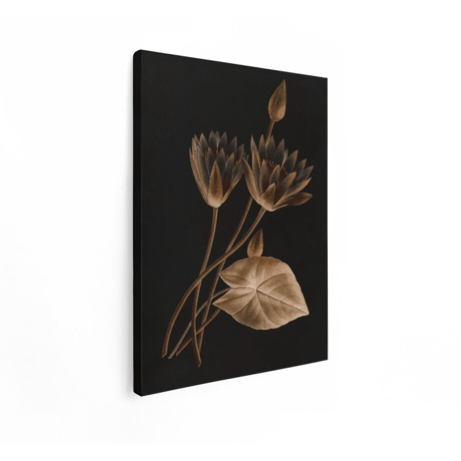 Artaza Canvas Schilderij Vintage Sepia Illustratie van Waterlelies en een Blad tegen een Donkere Achtergrond - 30x40 cm - Klein - Wanddecoratie Woonkamer - Schilderijen - Muurdecoratie afbeelding 1