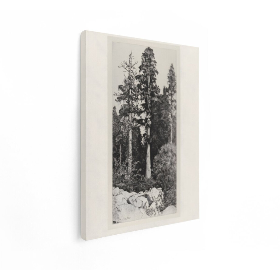 Artaza Canvas Schilderij Majestueuze Sequoia Bomen in een Dicht Bos met Rotsachtige Ondergrond - 30x40 cm - Klein - Wanddecoratie Woonkamer - Schilderijen - Muurdecoratie afbeelding 1