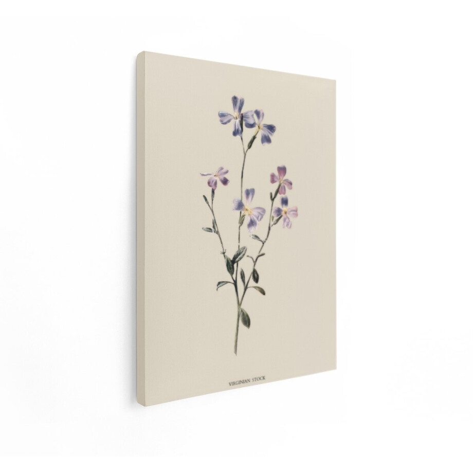 Artaza Canvas Schilderij Bloemen - 90x120 cm - Wanddecoratie Virginian Stock - Muurdecoratie Vintage Bloemen - Schilderijen Op Canvas afbeelding 1