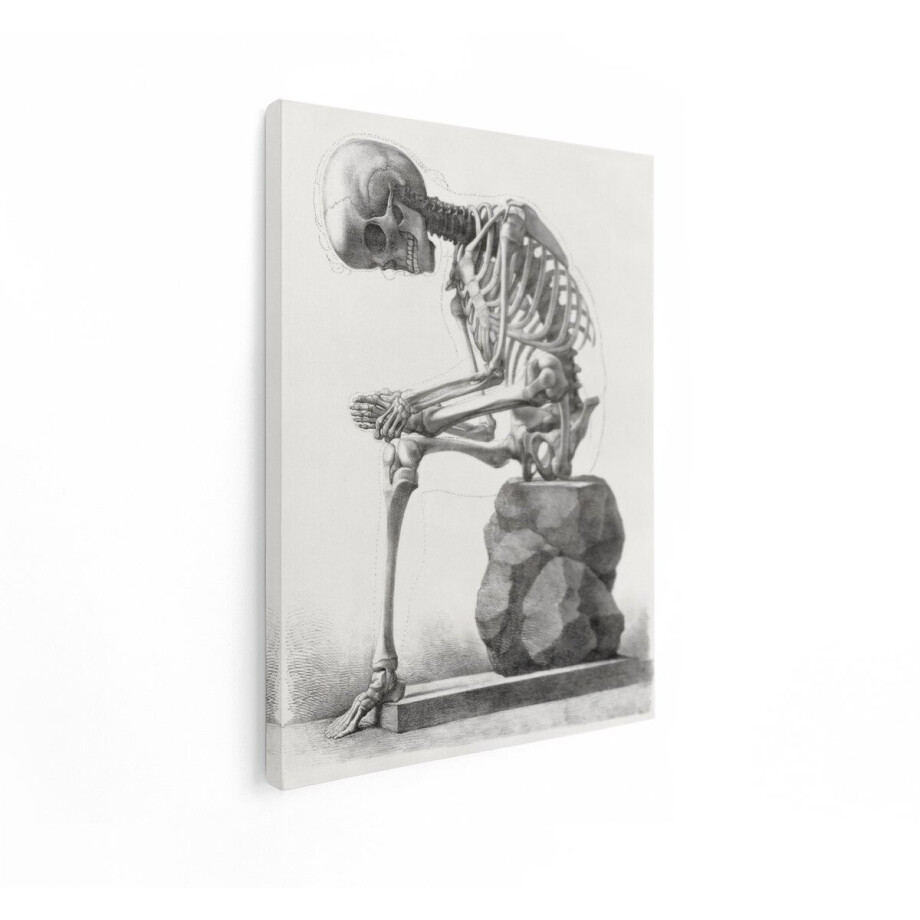 Artaza Canvas Schilderij Gedetailleerde Anatomische Tekening van een Menselijk Skelet in een Zittende - Peinzende Houding - 90x120 cm - Groot - Wanddecoratie Woonkamer - Schilderijen - Muurdecoratie afbeelding 1