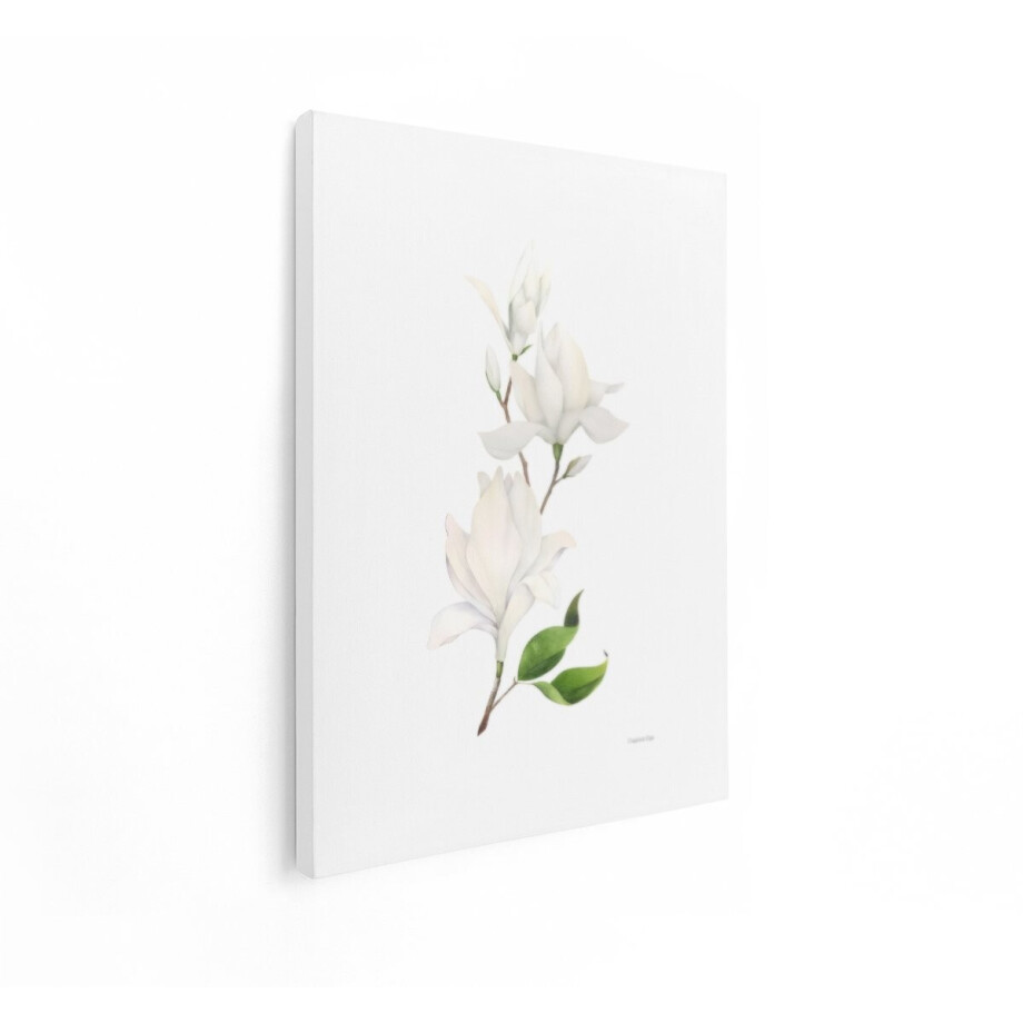 Artaza Canvas Schilderij Magnolia - 90x120 cm - Wanddecoratie Witte Bloesem - Muurdecoratie Bloemen - Decoratie Woonkamer Aquarel afbeelding 1