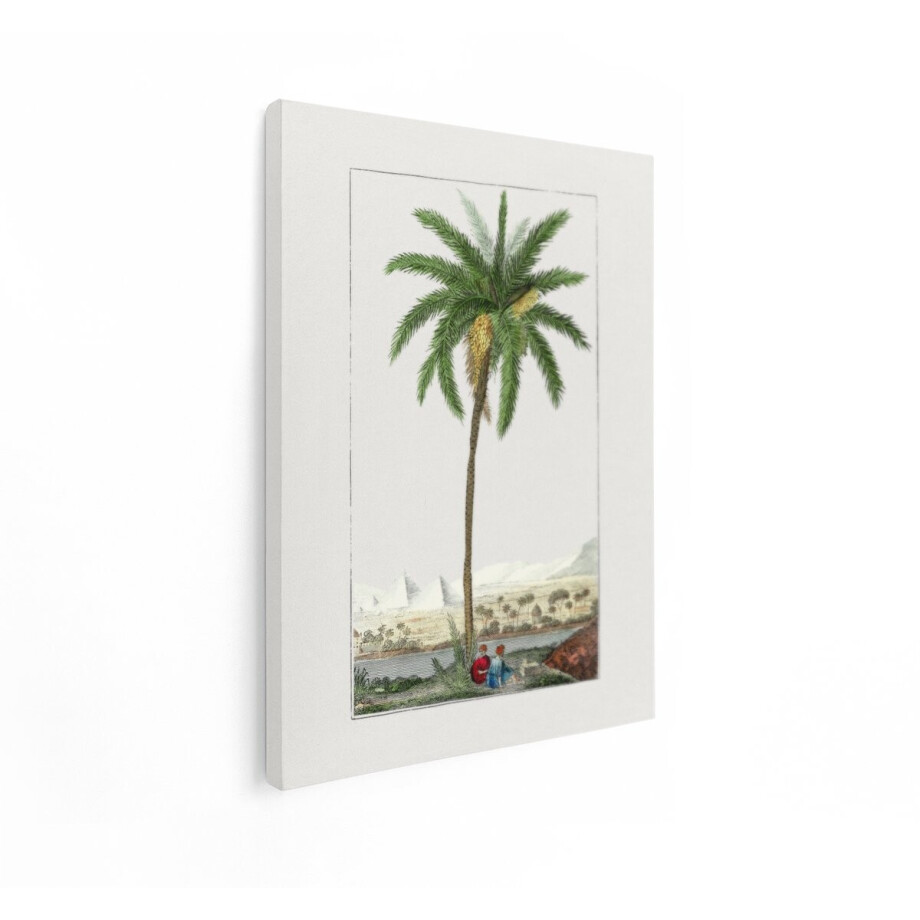 Artaza Canvas Schilderij Dadelpalm Egypte - 90x120 cm - Vintage Wanddecoratie Piramides - Muurdecoratie Nijl Landschap - Botanisch Schilderij afbeelding 1