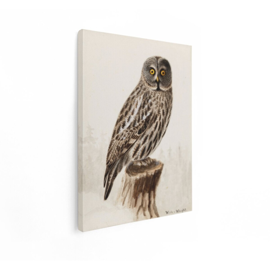 Artaza Canvas Schilderij Grote Grijze Uil met Gele Ogen Zittend op een Boomstronk in een Bosrijke Omgeving - 60x80 cm - Wanddecoratie Woonkamer - Schilderijen - Muurdecoratie afbeelding 1