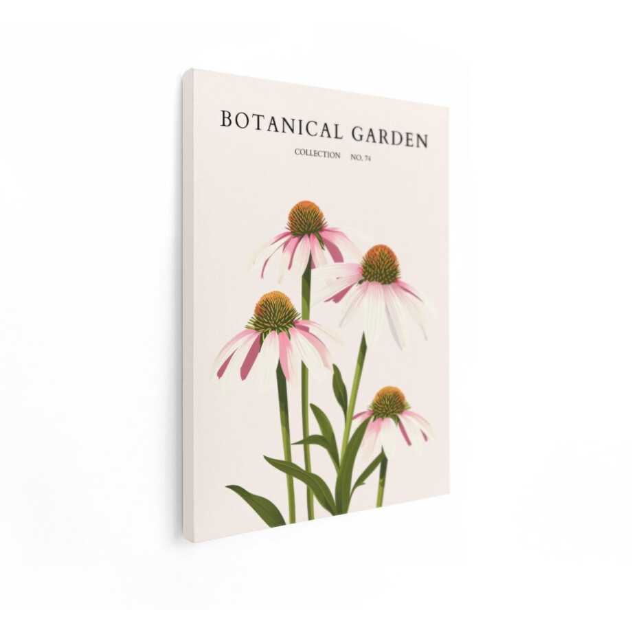 Artaza Canvas Schilderij Botanische Illustratie van Echinacea-Bloemen in een Verzamelingsserie - 90x120 cm - Groot - Wanddecoratie Woonkamer - Schilderijen - Muurdecoratie afbeelding 1