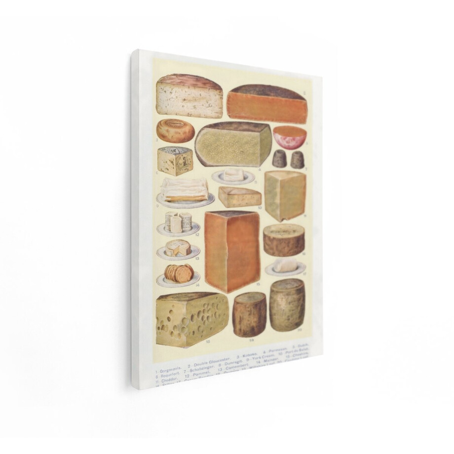 Artaza Canvas Schilderij Diverse Soorten Kaas op een Illustratie - een Culinaire Gids van Zuivelproducten - 90x120 cm - Groot - Wanddecoratie Woonkamer - Schilderijen - Muurdecoratie afbeelding 1