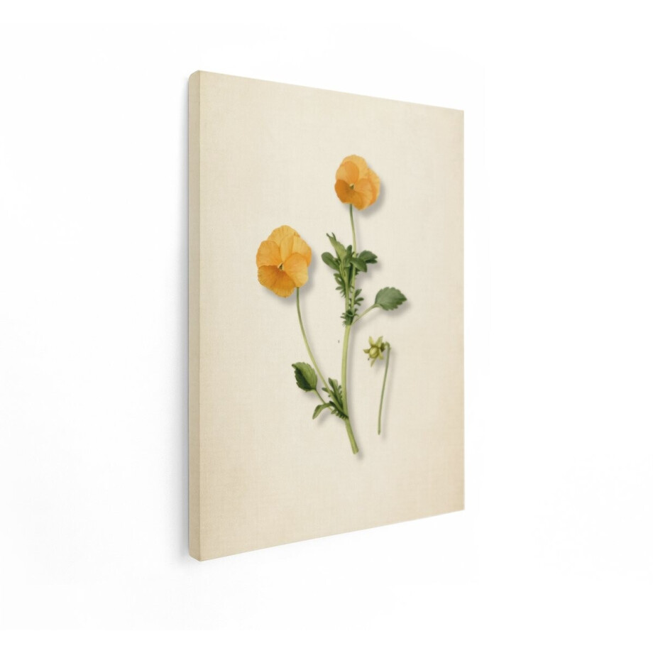 Artaza Canvas Schilderij Gedetailleerde Aquarelillustratie van twee Oranje Viooltjes met Bladeren en een Knop - 60x80 cm - Wanddecoratie Woonkamer - Schilderijen - Muurdecoratie afbeelding 1