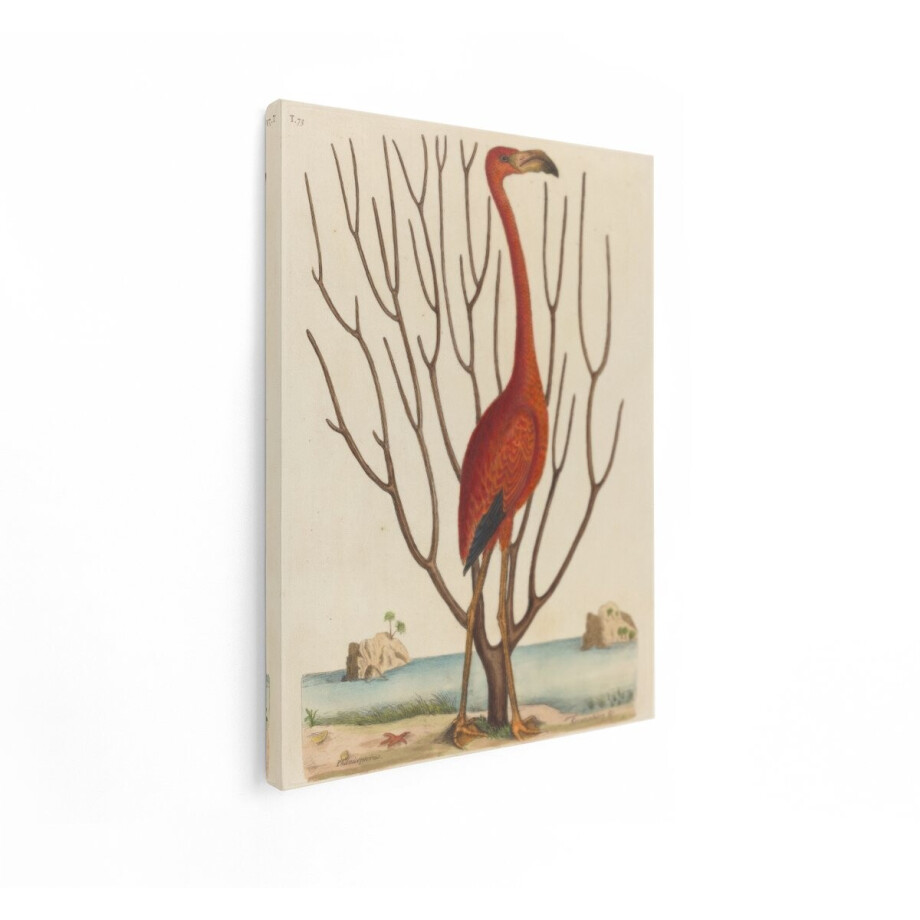 Artaza Canvas Schilderij Flamingo - 90x120 cm - Wanddecoratie Vogels - Muurdecoratie Vintage - Schilderijen Dieren Landschap Artaza Canvas Schilderij Flamingo - 90x120 cm - Wanddecoratie Vogels - Muurdecoratie Vintage - Schilderijen Dieren Landschap afbeelding 1