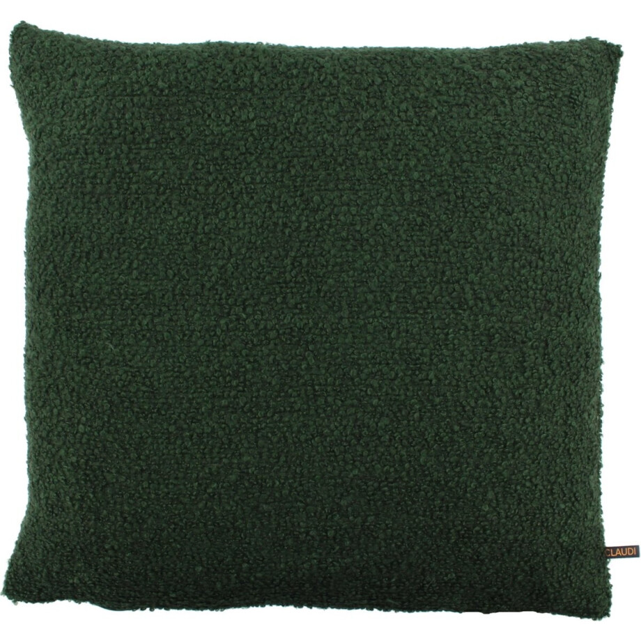 Claudi - sierkussen Bonito - donker groen - 50x50 cm Claudi - sierkussen Bonito - donker groen - 50x50 cm afbeelding 1