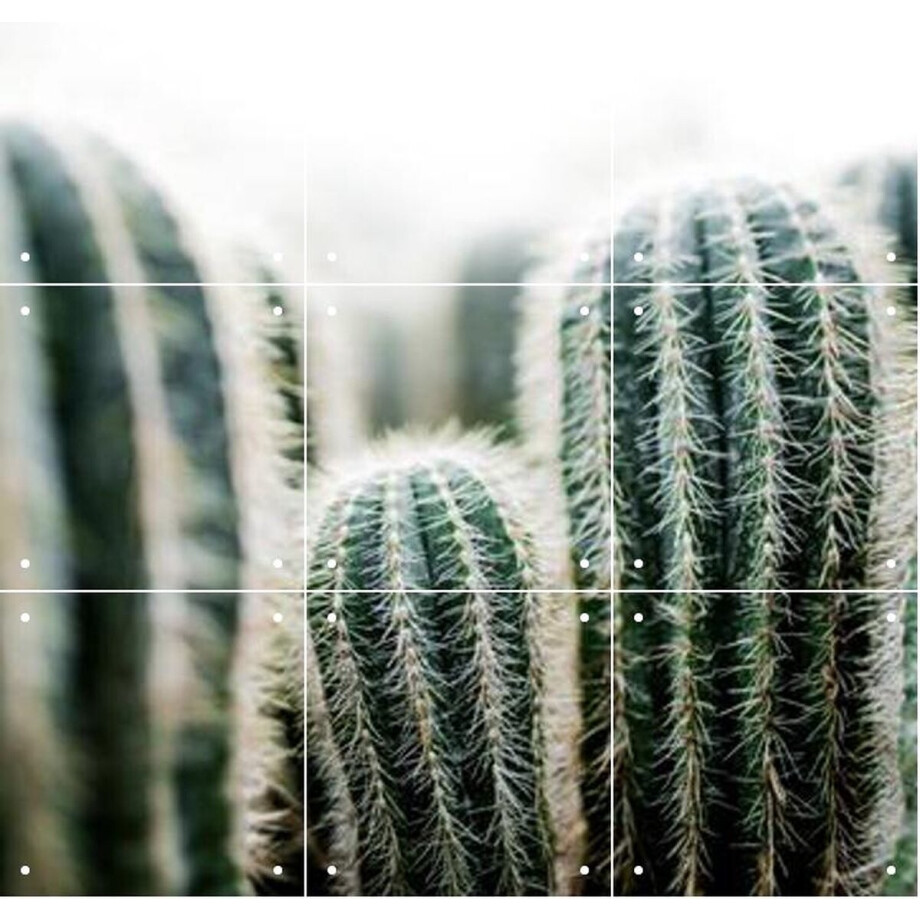 IXXI Cactus, Mareike Böhmer - 60 x 80 cm - Gratis ophangtool - Grote wanddecoratie en posters - Minimalistisch, Fotografie, Woonkamer, Slaapkamer IXXI Cactus, Mareike Böhmer - 60 x 80 cm - Gratis ophangtool - Grote wanddecoratie en posters - Minimalistisch, Fotografie, Woonkamer, Slaapkamer afbeelding 1