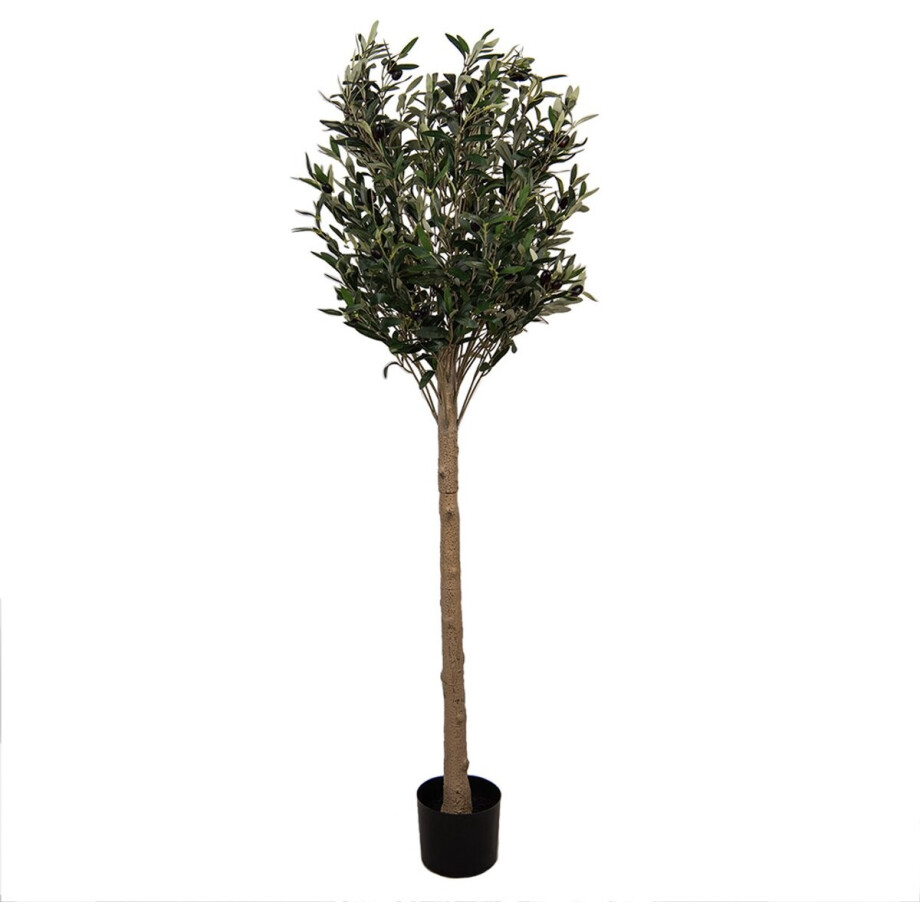 Clayre & Eef Kunst Olijfboom 165 cm Groen Kunststof Clayre & Eef Kunst Olijfboom 165 cm Groen Kunststof afbeelding 1