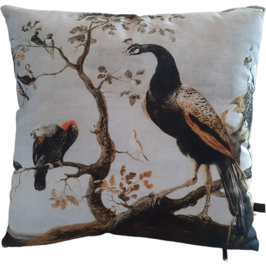 Furnilux Sierkussens - 45x45 cm - Set van 2 - Pauw Rixt Design afbeelding 1