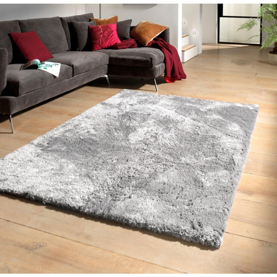 Hoogpolig Vloerkleed - Curacao shaggy - Zilver -  160x230 Hoogpolig Vloerkleed - Curacao shaggy - Zilver -  160x230 afbeelding 1