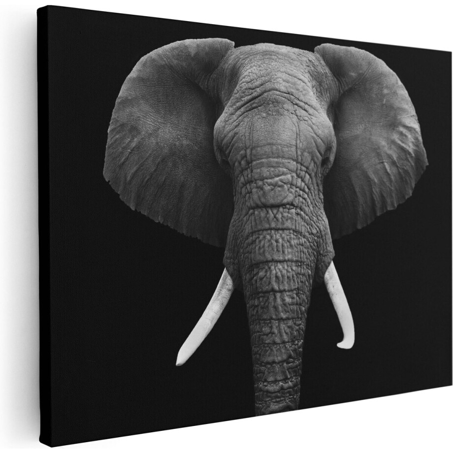 Artaza Canvas Schilderij Olifant - 80x60 cm - Wanddecoratie Dieren - Muurdecoratie Zwart Wit - Schilderijen Op Canvas afbeelding 1