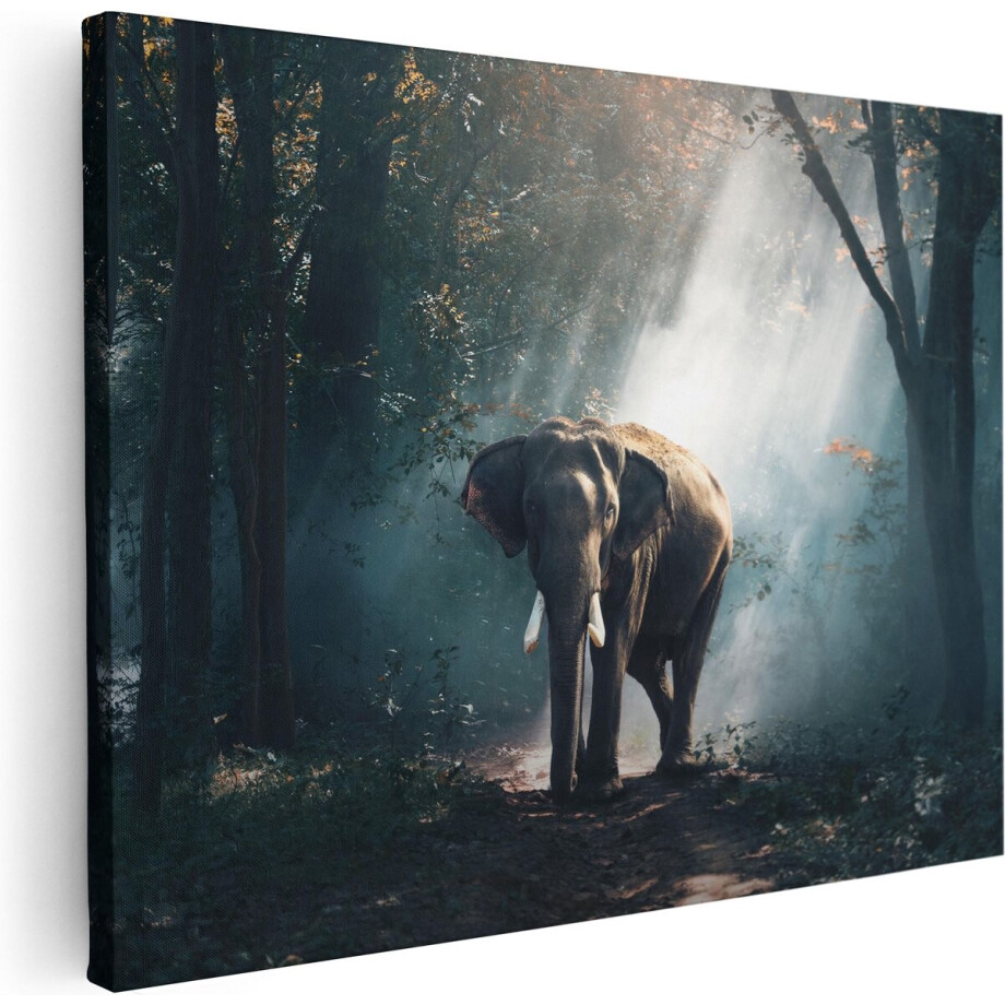 Artaza Canvas Schilderij Olifant In Het Bos Met Zonneschijn - 40x30 - Klein - Foto Op Canvas - Canvas Print Artaza Canvas Schilderij Olifant In Het Bos Met Zonneschijn - 40x30 - Klein - Foto Op Canvas - Canvas Print afbeelding 1