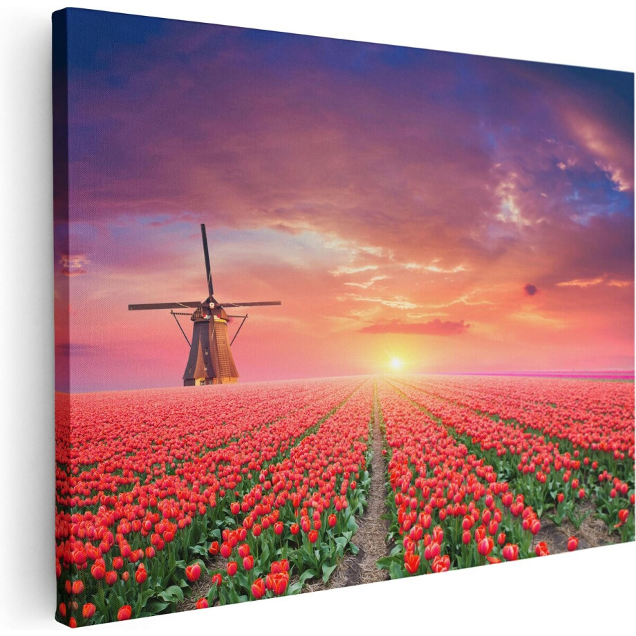 Artaza Canvas Schilderij Rode Rozen Bloemenveld Met Een Windmolen - 80x60 - Foto Op Canvas - Canvas Print afbeelding 1