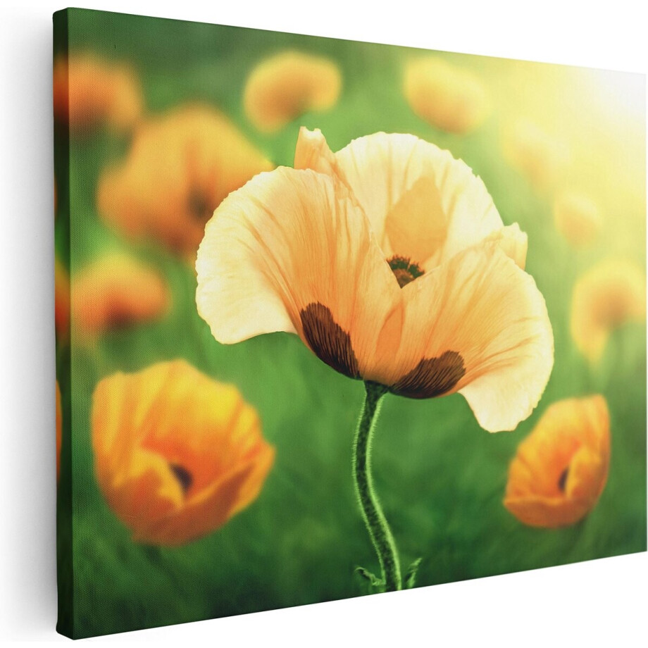 Artaza Canvas Schilderij Oranje Klaproos Bloemen  - 80x60 - Foto Op Canvas - Canvas Print afbeelding 1