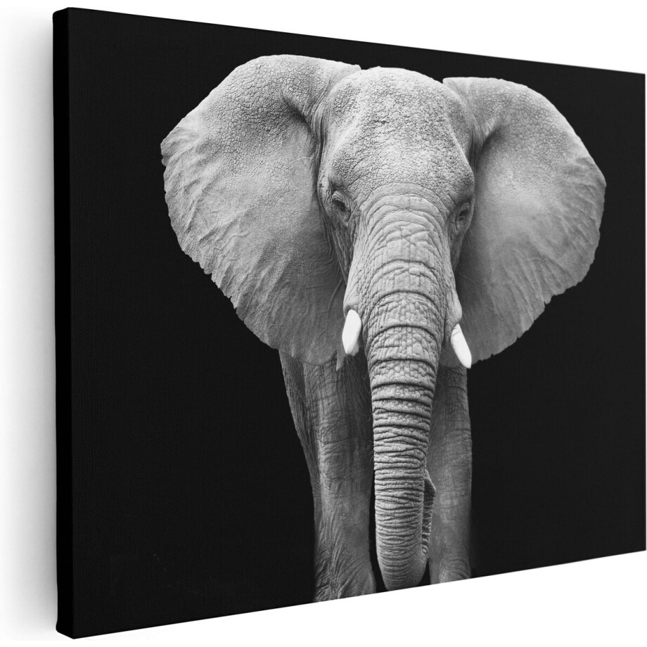 Artaza Canvas Schilderij Olifant - Zwart Wit - 40x30 - Klein - Foto Op Canvas - Canvas Print Artaza Canvas Schilderij Olifant - Zwart Wit - 40x30 - Klein - Foto Op Canvas - Canvas Print afbeelding 1